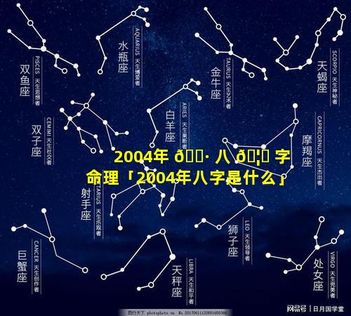 2004年 🌷 八 🦅 字命理「2004年八字是什么」